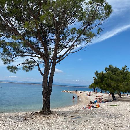 Family Apartments Vesna- 100 M Beach -Center Crikvenica Esterno foto
