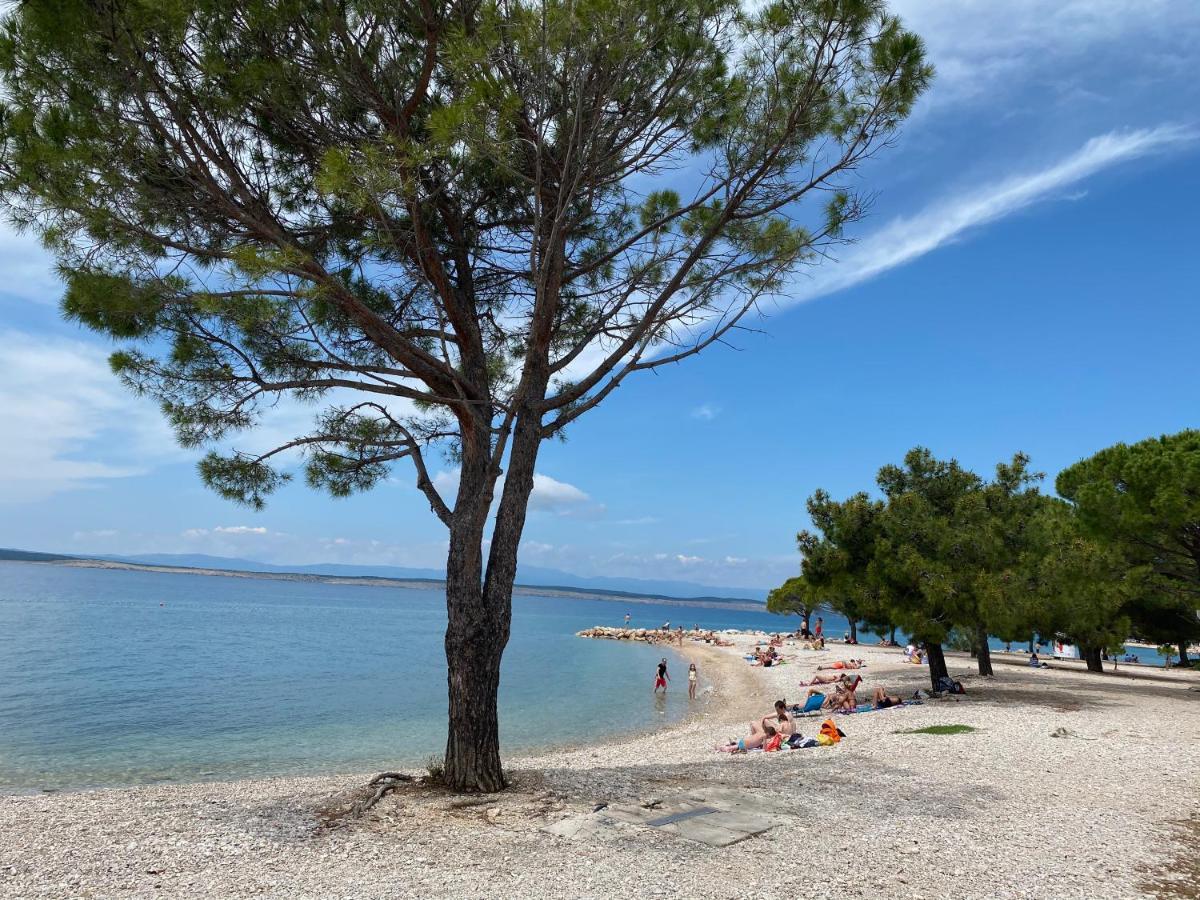 Family Apartments Vesna- 100 M Beach -Center Crikvenica Esterno foto