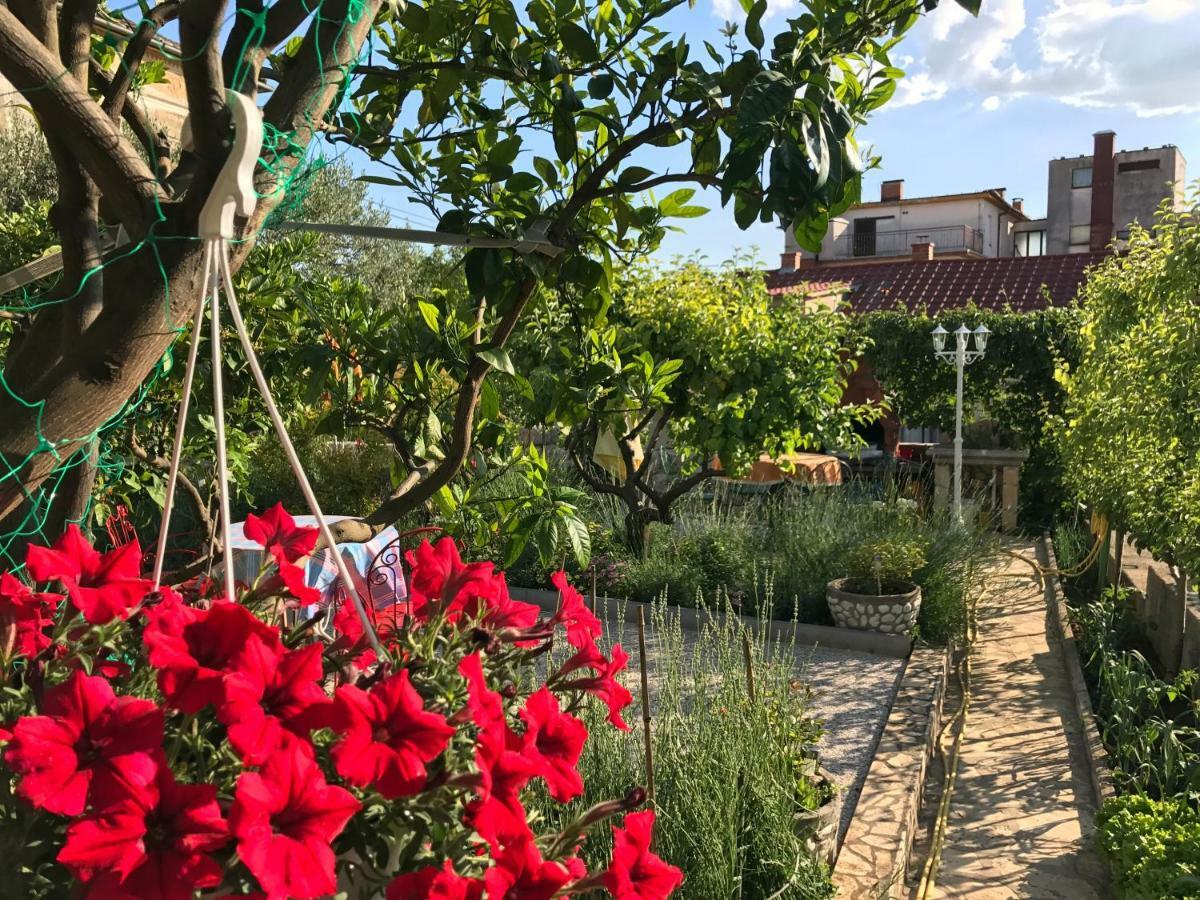 Family Apartments Vesna- 100 M Beach -Center Crikvenica Esterno foto